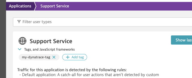 An application page in Dynatrace, with the "my-dynatrace-tag" added.