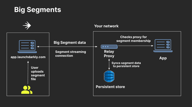 SDKs configured to use big segments and the Relay Proxy.